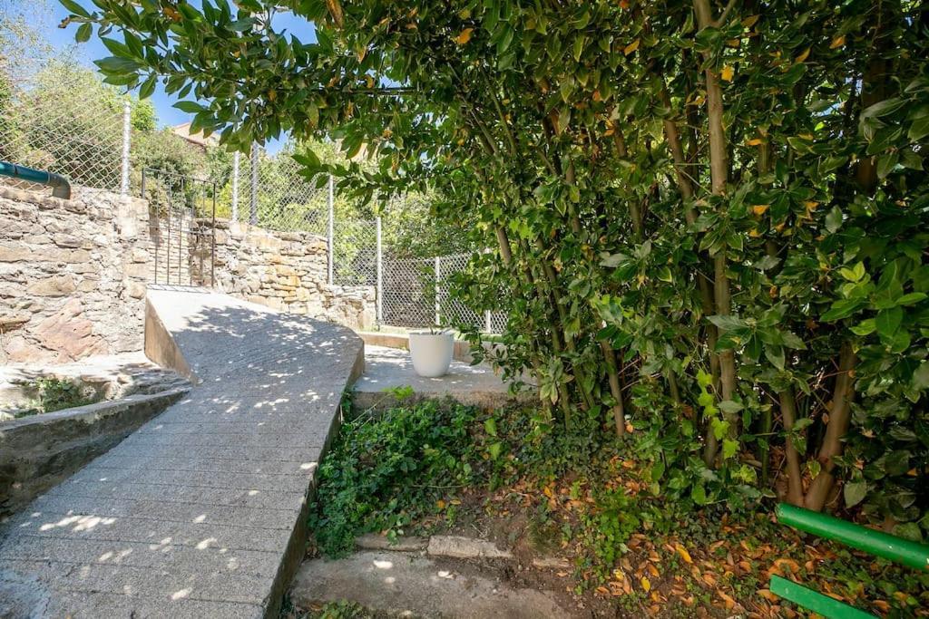 Casa Feli - Apartamento Con Jardin Privado En Los Pirineos カスティエジョ・デ・ハカ エクステリア 写真