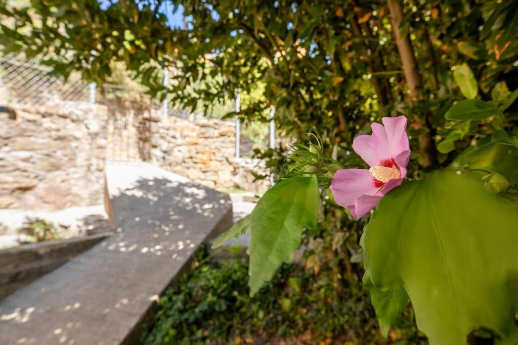 Casa Feli - Apartamento Con Jardin Privado En Los Pirineos カスティエジョ・デ・ハカ エクステリア 写真